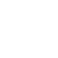 Palm Plumbers